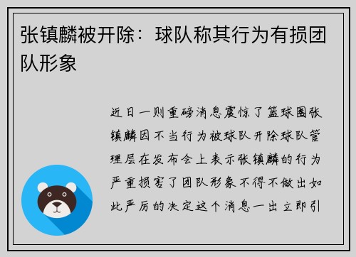 张镇麟被开除：球队称其行为有损团队形象